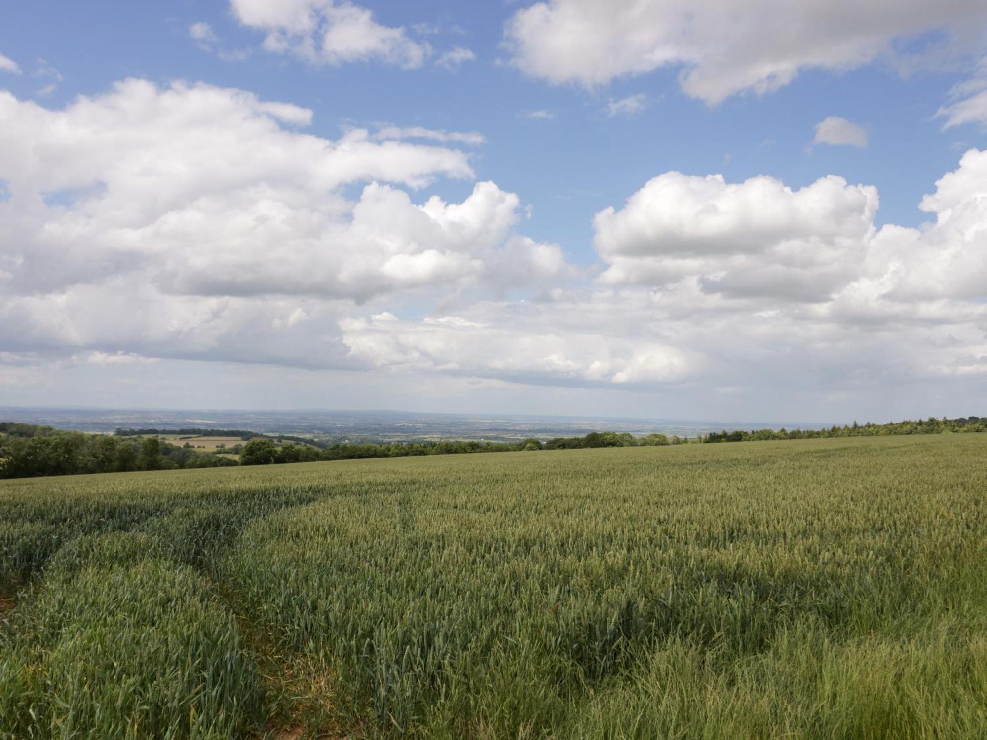 Hébergement de vacances Primrose Cheltenham
